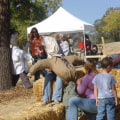 The Benefits of Volunteering at Crafts Festivals in Danville, CA