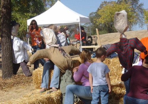 The Benefits of Volunteering at Crafts Festivals in Danville, CA